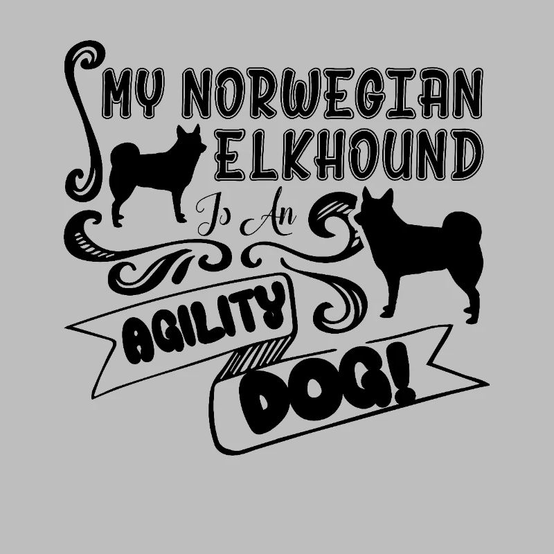 Norwegian Elkhound Is An Agility