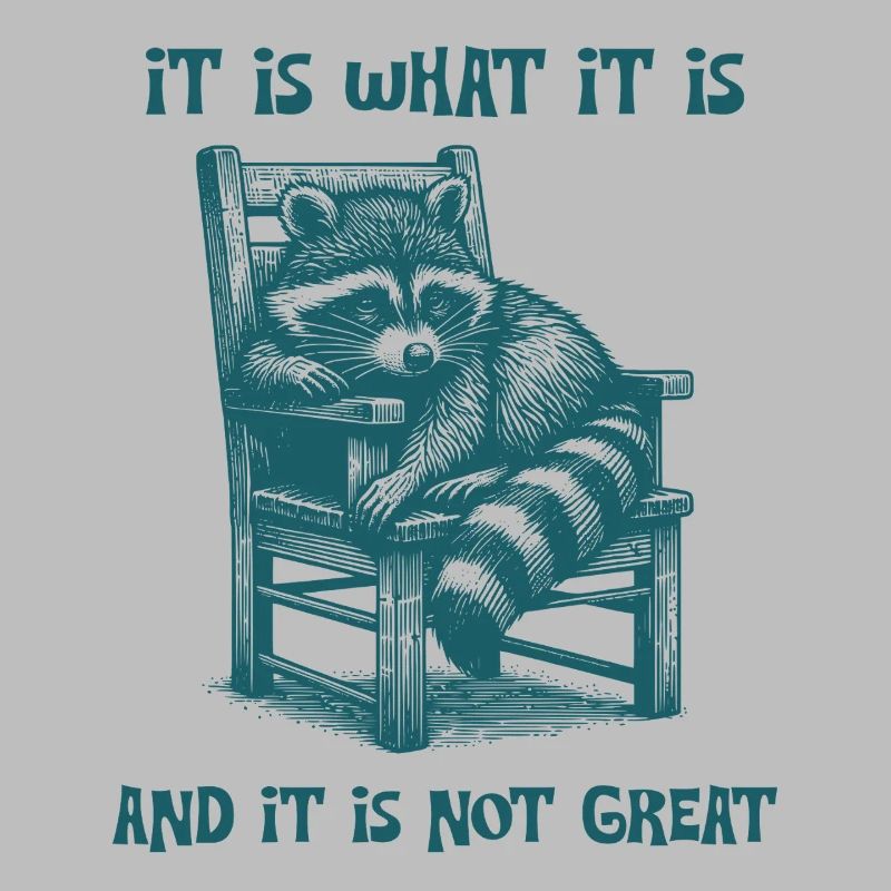 It Is What It Is And It Is Not Great Trash Panda
