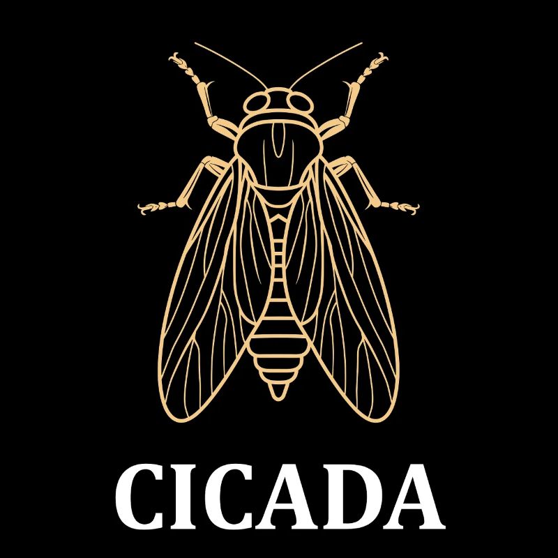 cigale