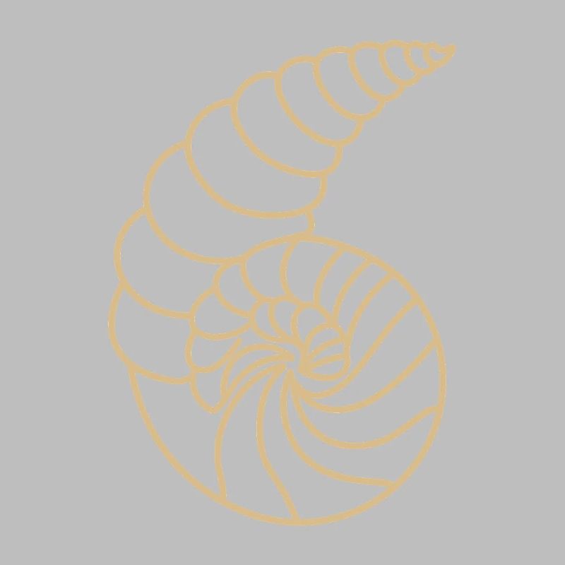 shell