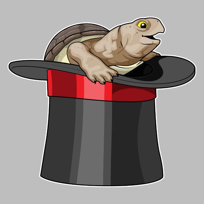 Cylindre Turtle Wizard