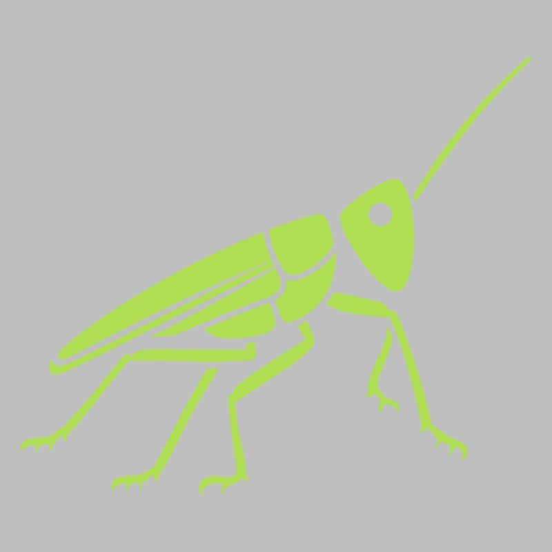 Grasshopper