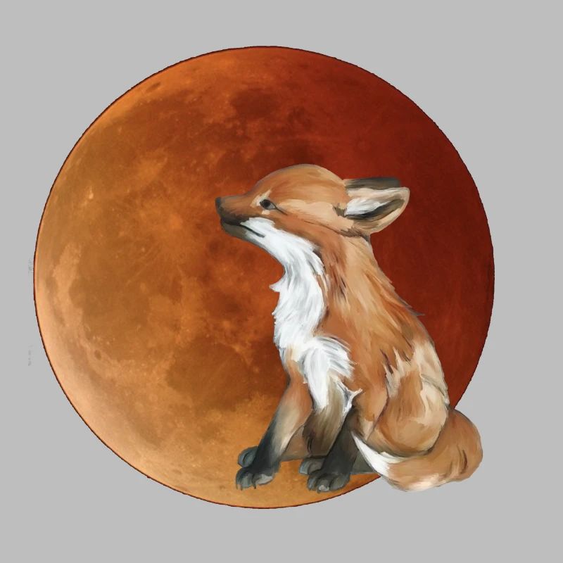 Moon fox in the evening light
