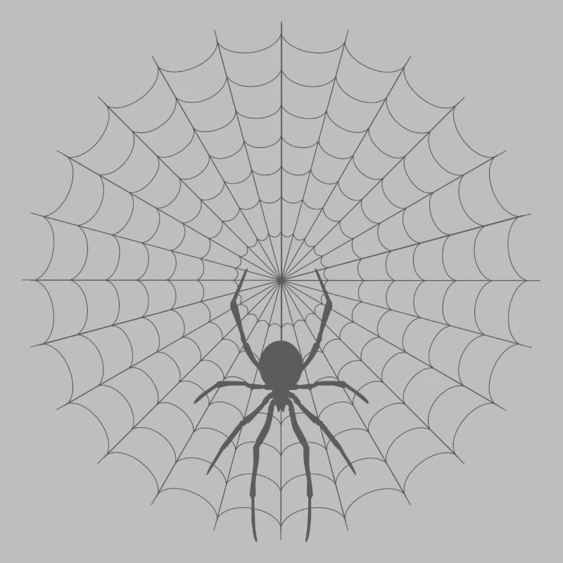 Spider Web Silhouette