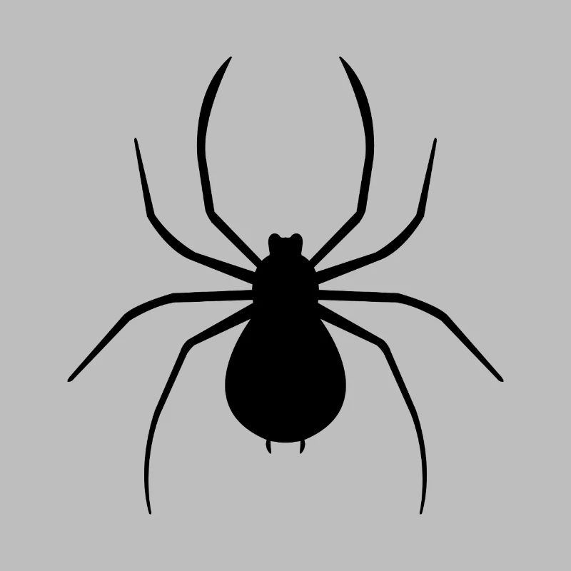 spider