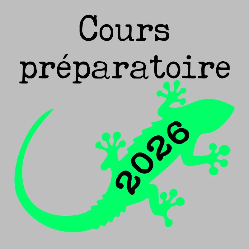 Preparatory Course 2026 School
