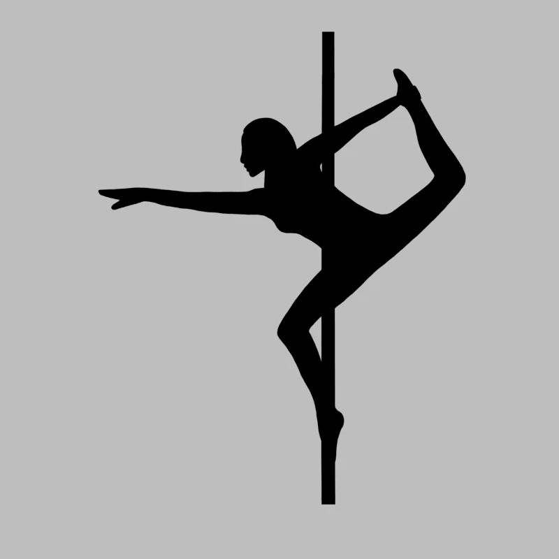 Pole Dance Pole