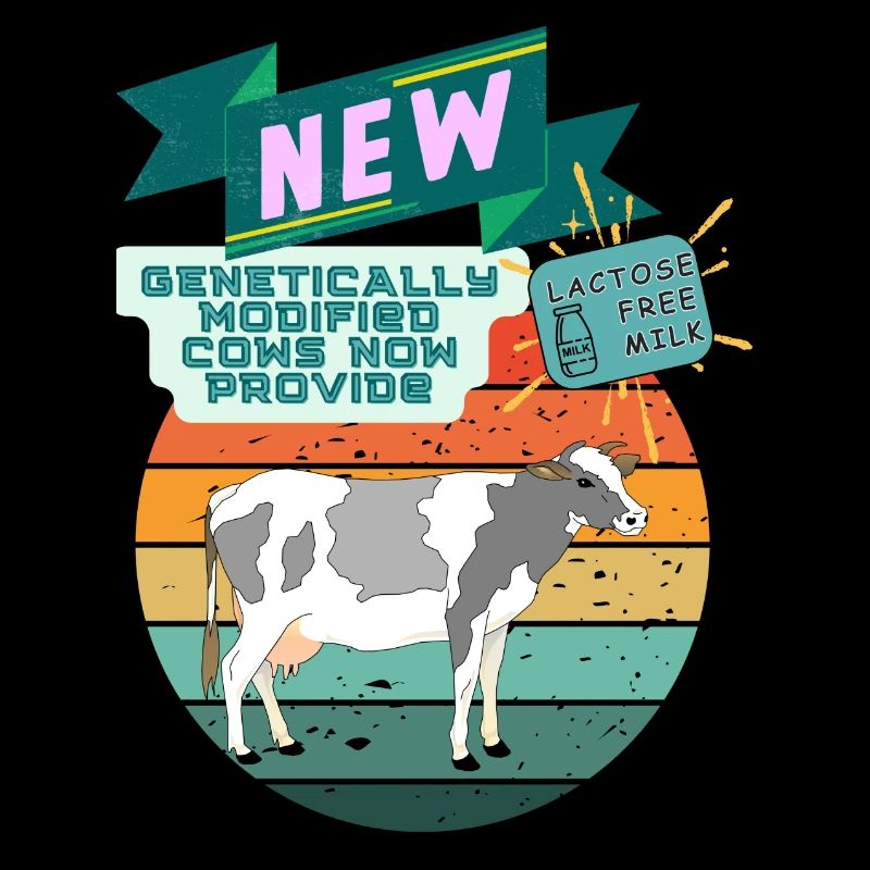 genetically modified cows