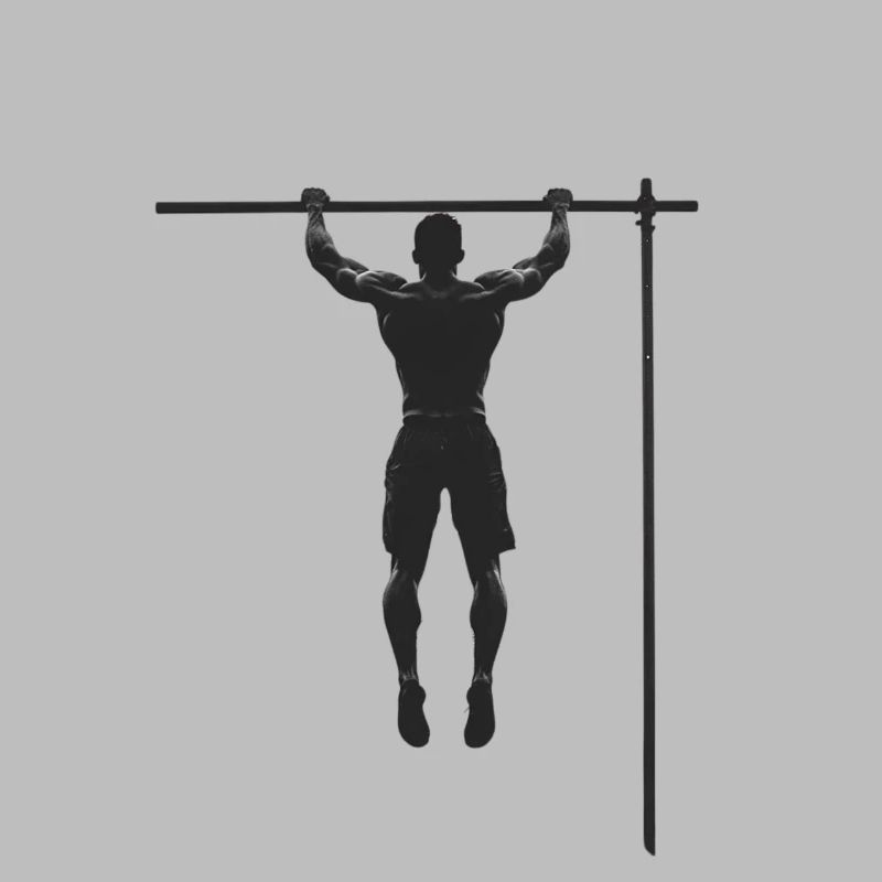 Training & Muscle Building: Chic Gift