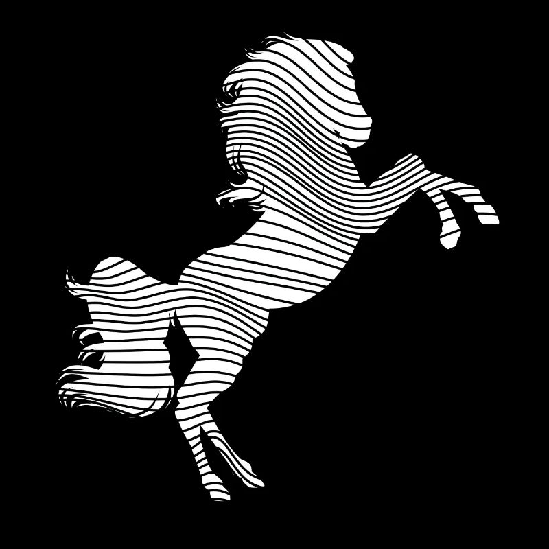 Cheval Noir et Blanc