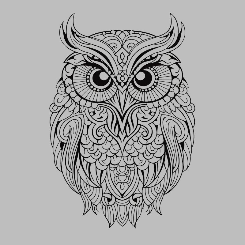 Mythical Magical Boho Owl with Patterns