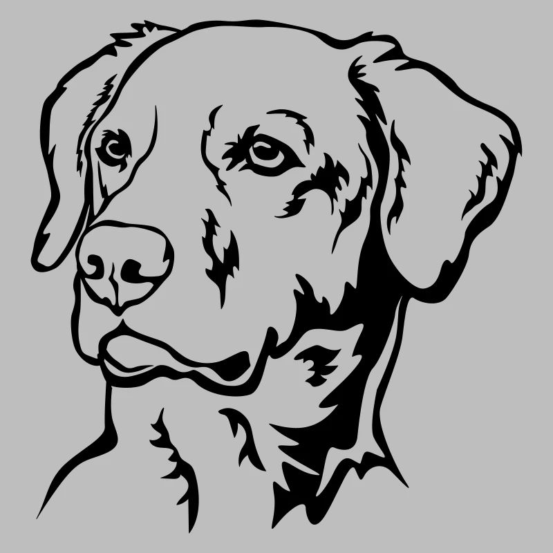 Labrador Head