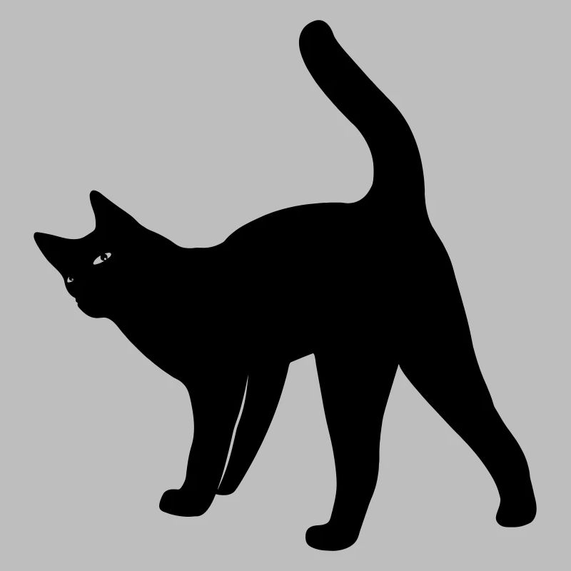 Cat cat