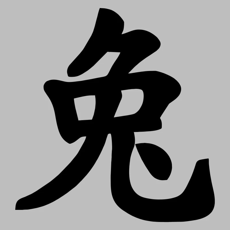 Chinese notebook rabbit shadow image