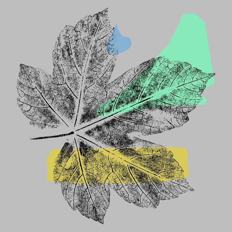 Leaf Maple - Abstrake Art