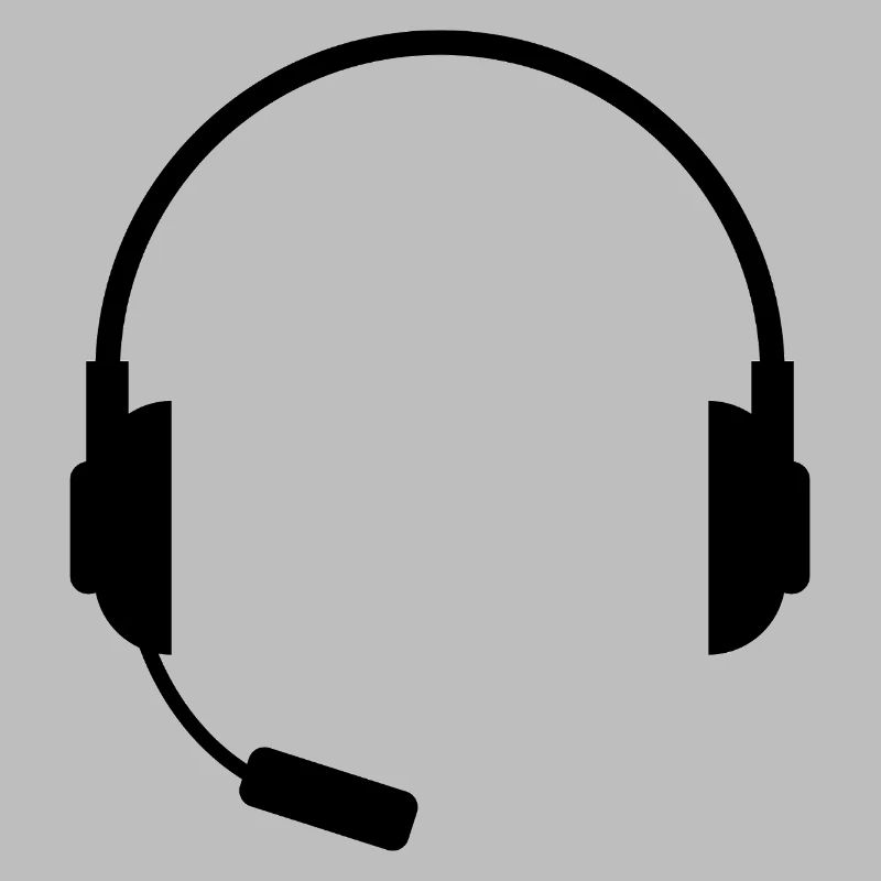 Headset With Microphone