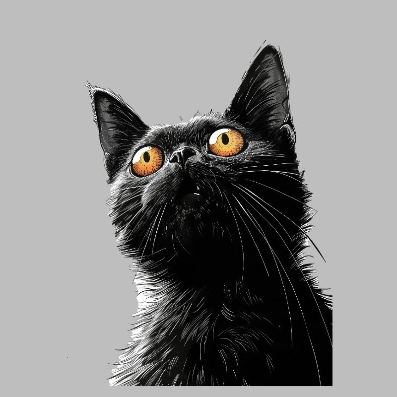 Schwarze Katze Peter