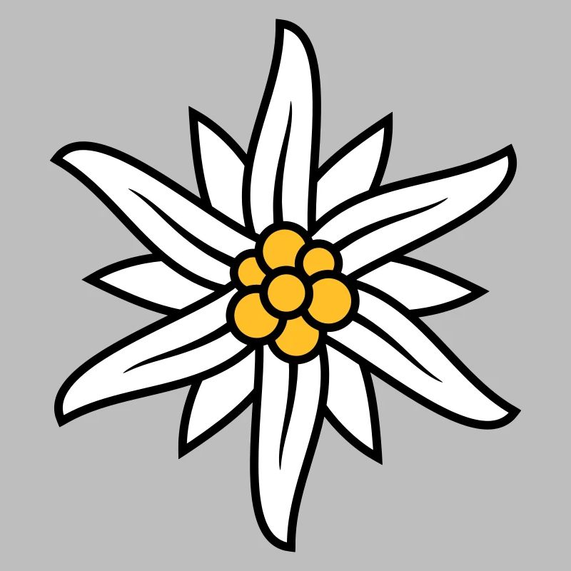 Edelweiss Bergblume logo