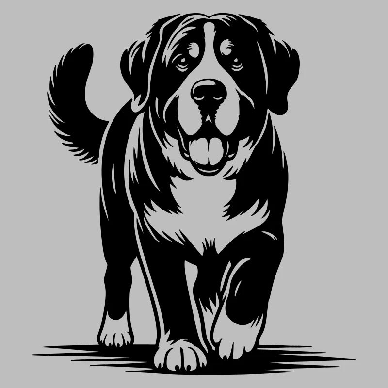 Großer Schweizer Sennenhund