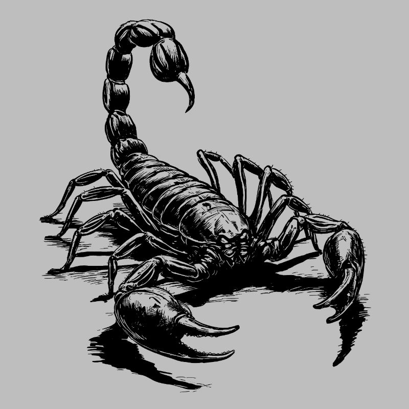 Scorpio black