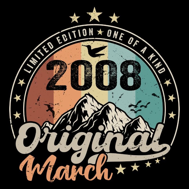 Birthday gift born in March 2008 retro 2008