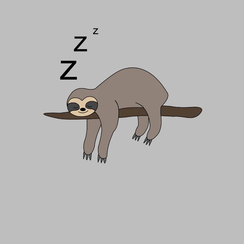 Sloth sleeping