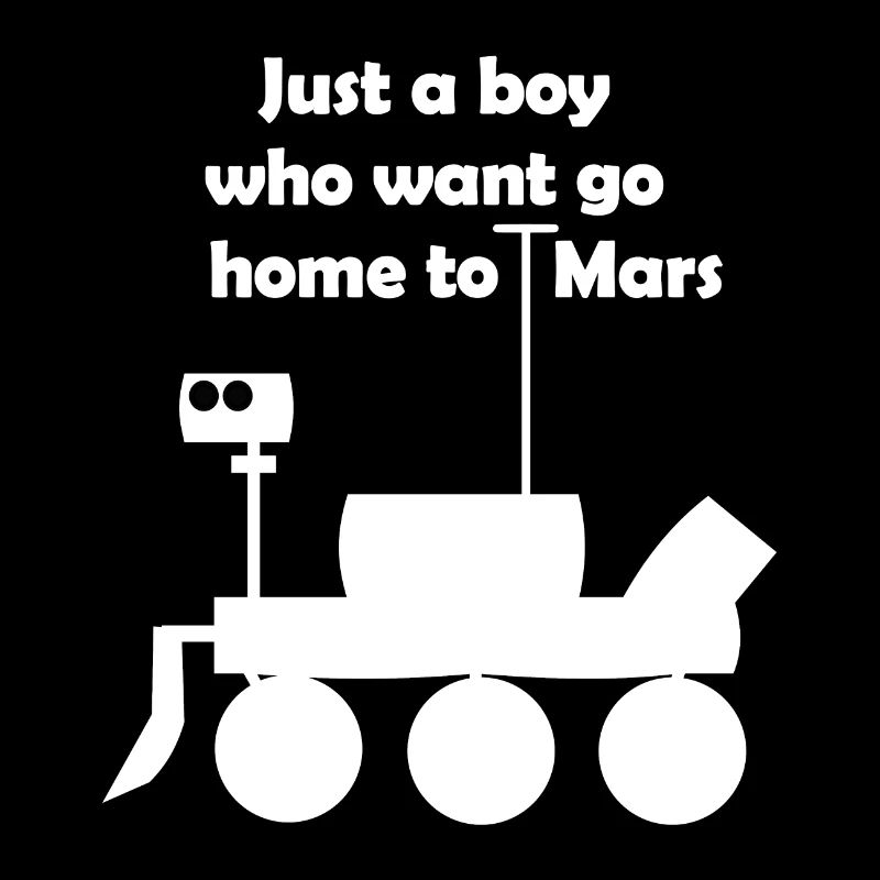 Excursion into space