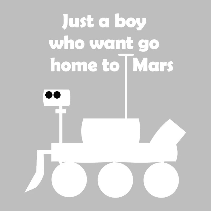 Excursion into space
