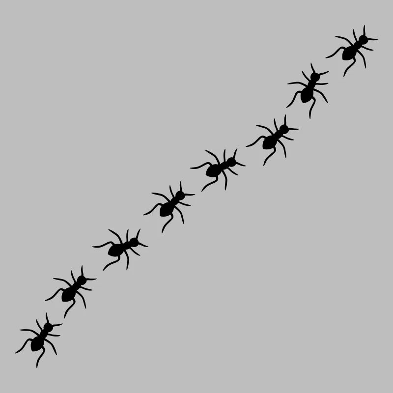 Ants