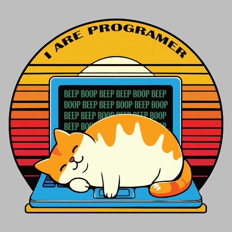 Ich bin Programmierer, fette schlafende Katze