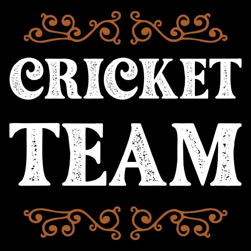 Équipe de cricket