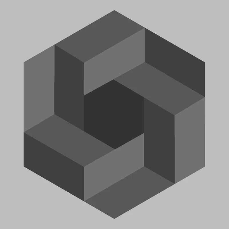 Geometric Illusion Pattern Black White