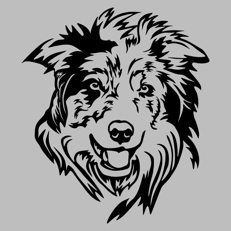 Tête de Border Collie