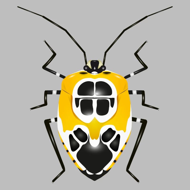 Runibia decorata Insecte rampant effrayant jaune noir