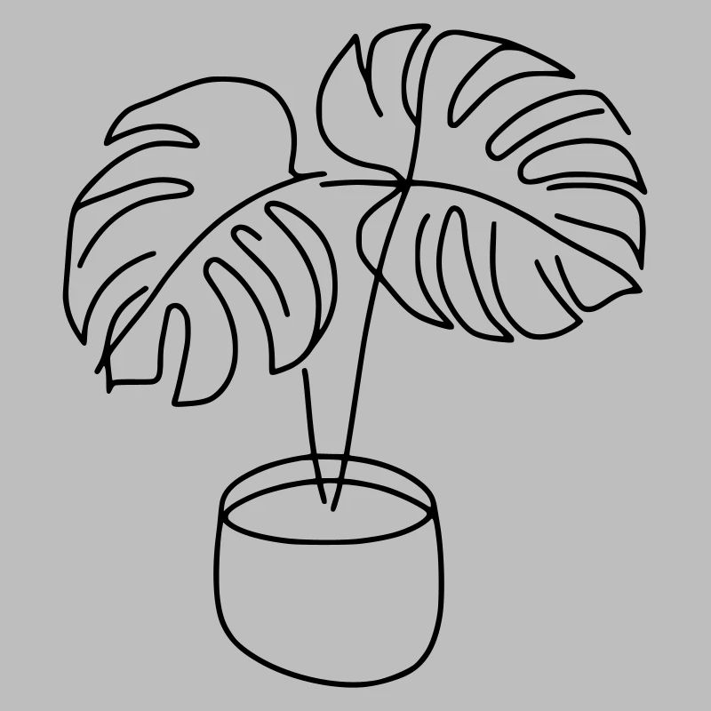 Monstera