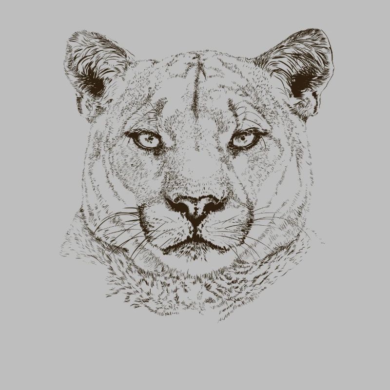 cougar