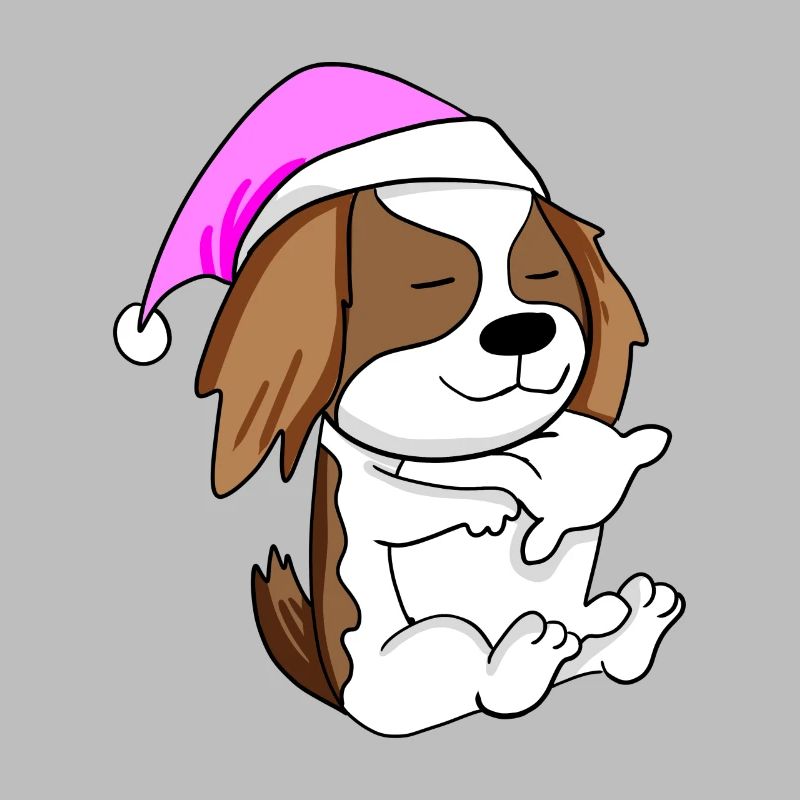 Hund Hunderasse Cavalier King Charles Spaniel