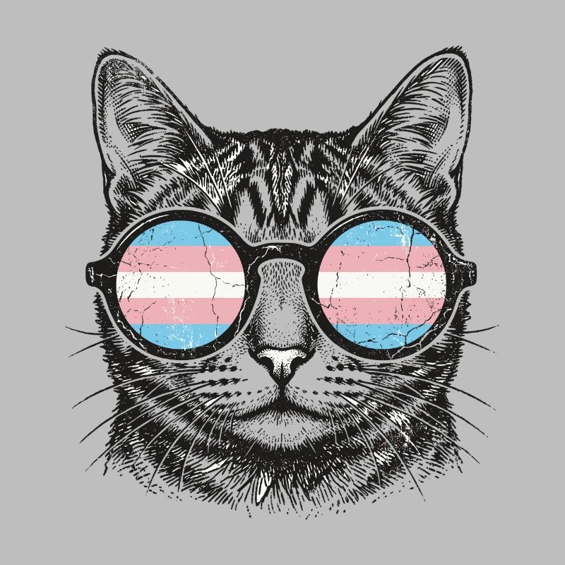 LGBT-Pride-Monat – Trans-Pride-Katze