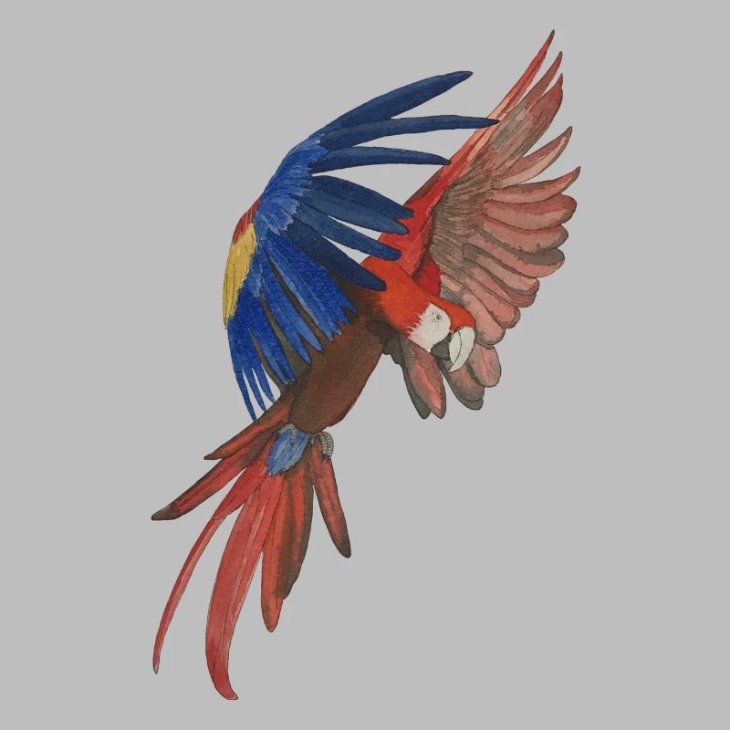 flying macaw parrot macaw