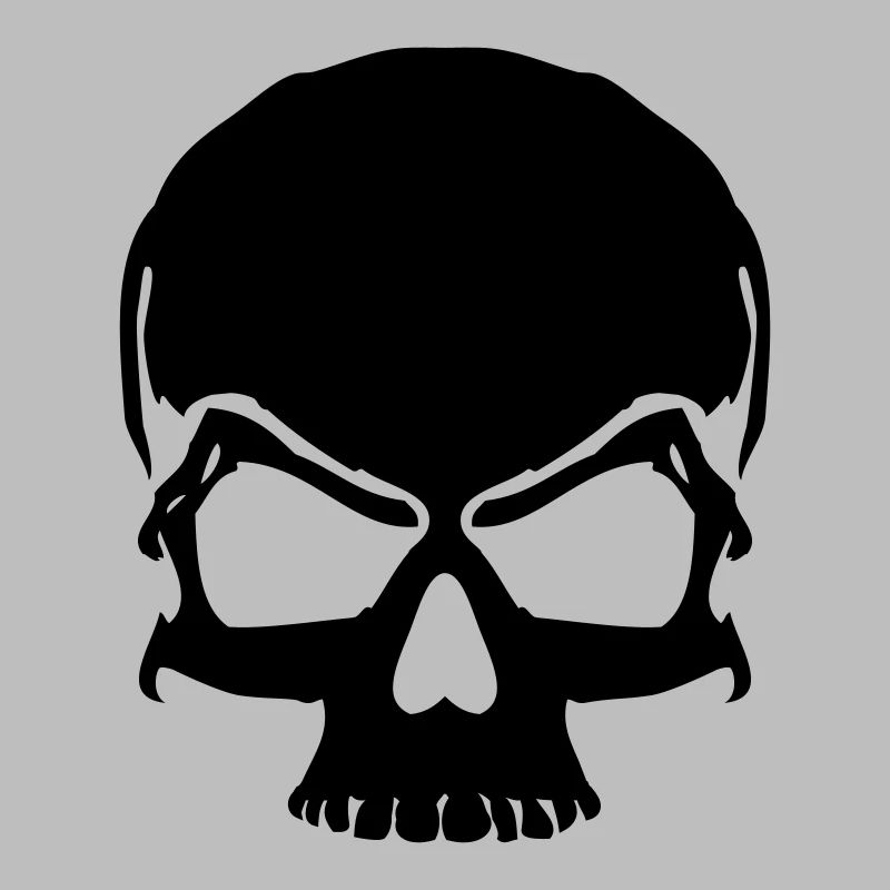 skull pirate skull