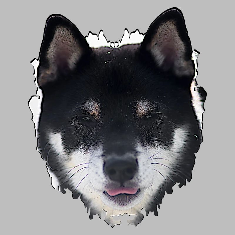 Conception du visage du chien de nuit