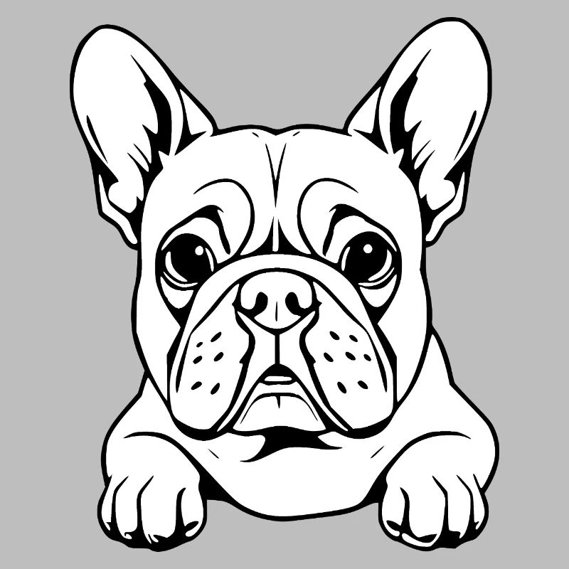 Bouledogue blanc