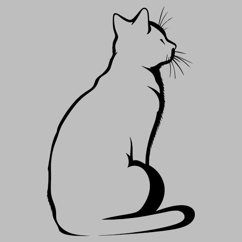 Chat, Motif De Chat