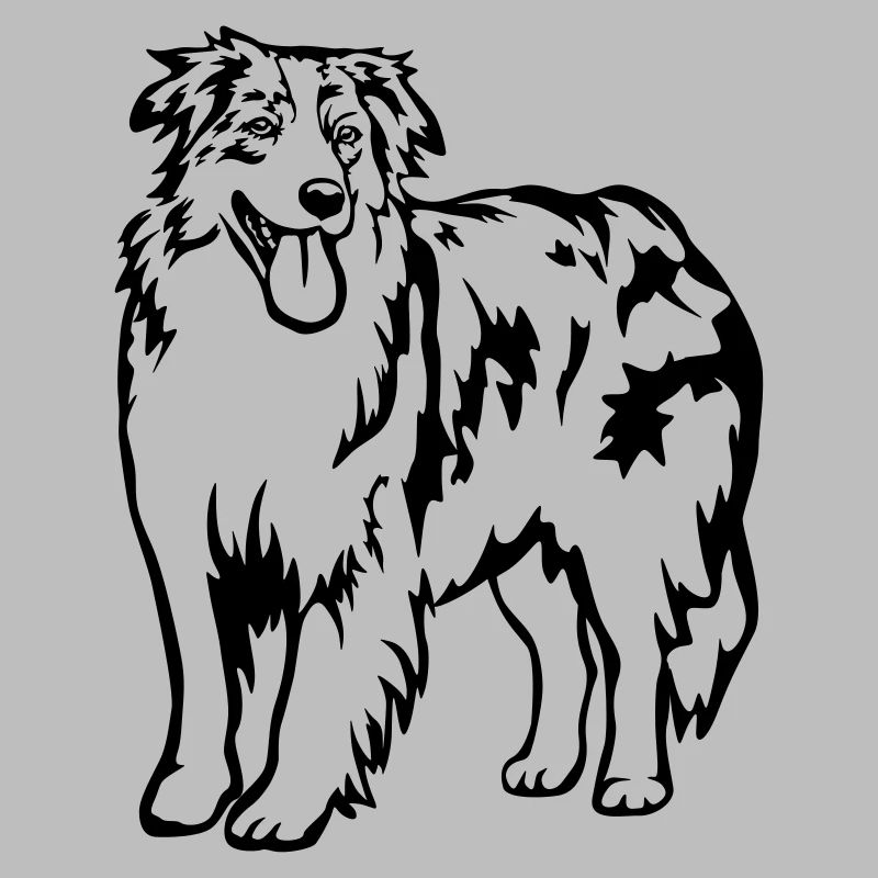 Australian Shepherd
