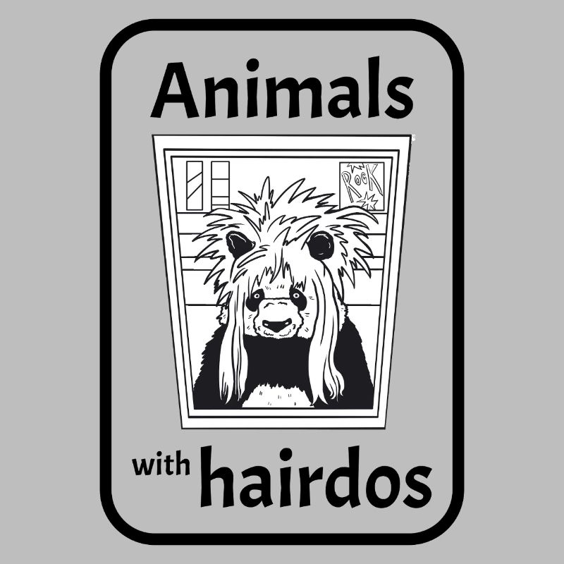 Panda avec coiffure