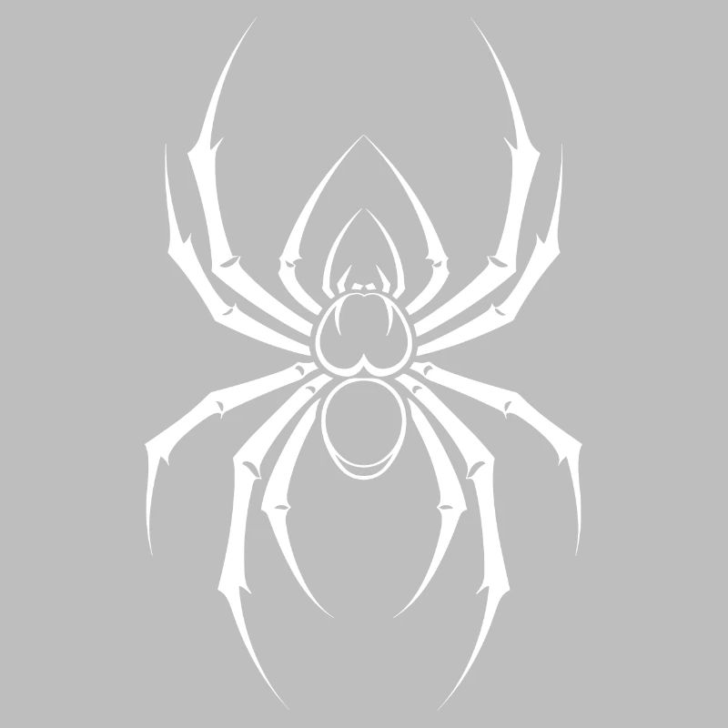 Spinne