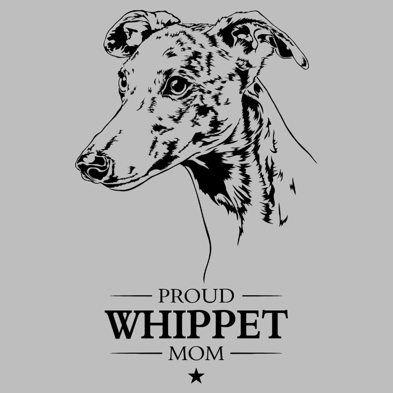Whippet Maman Chien Lévrier Lévrier Wilsigns