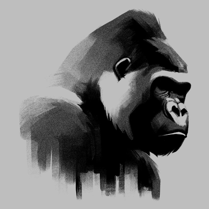 Gorilla Shadow Play