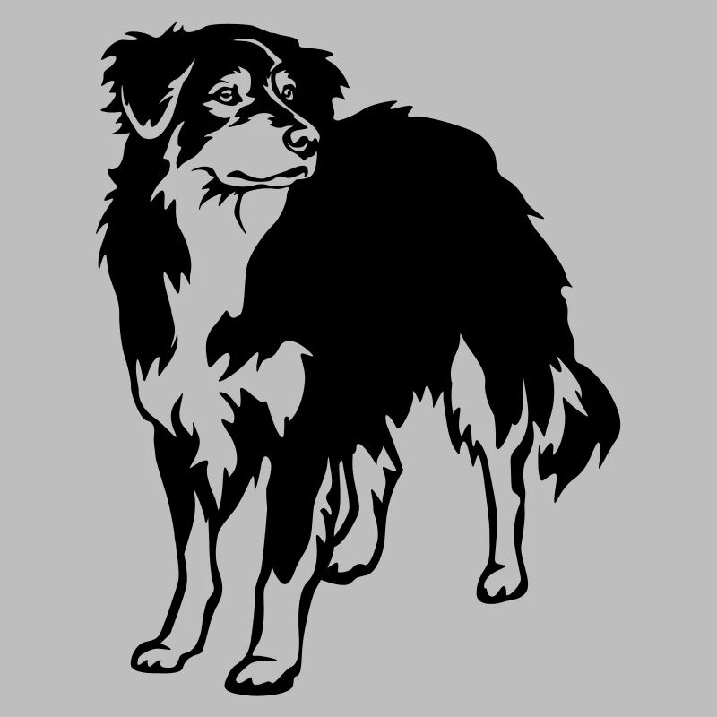 Australian Shepherd