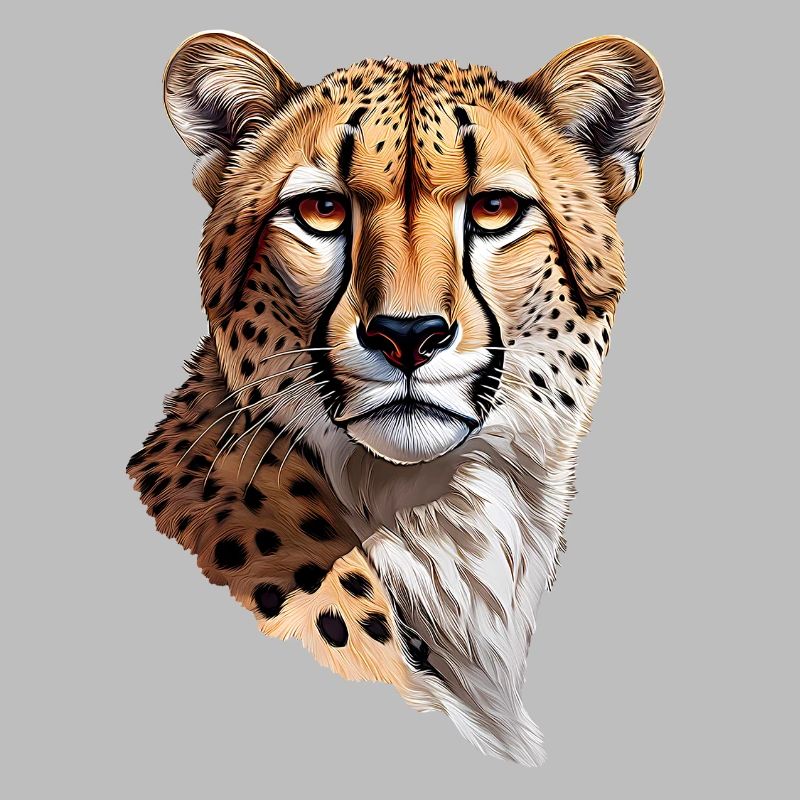 Cheetah